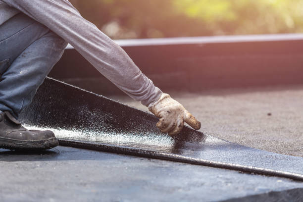 Professional Interior Drainage System technician working in Norvell, MI